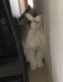 ちゃんぴす　さん