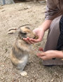 あみぽん　さん