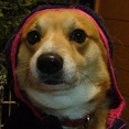 ちょこしあ　さん