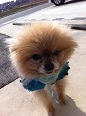☆さっちゃん☆　さん
