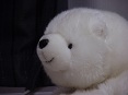 ごま　さん