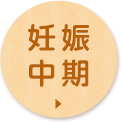 妊娠中期